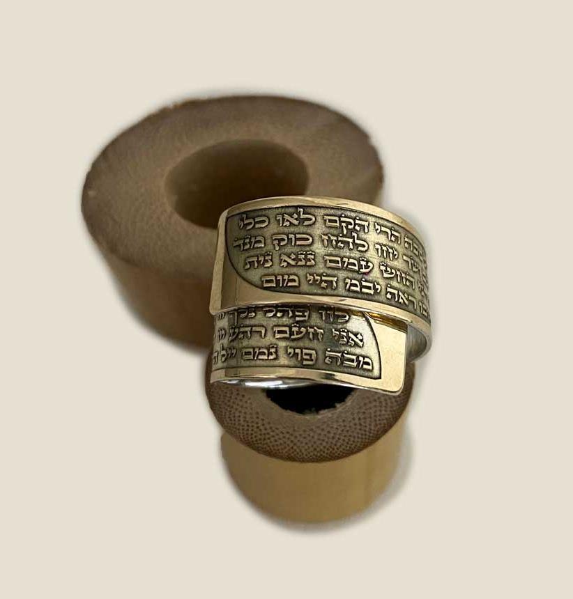 טבעת זהב 14K וכסף עם תבליט של עב שמות